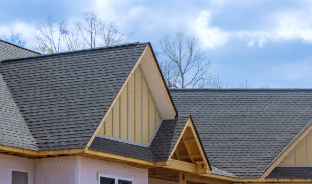 Roof Coating Services in Plainview, TN